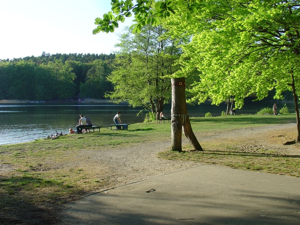 stechlinsee badestrand